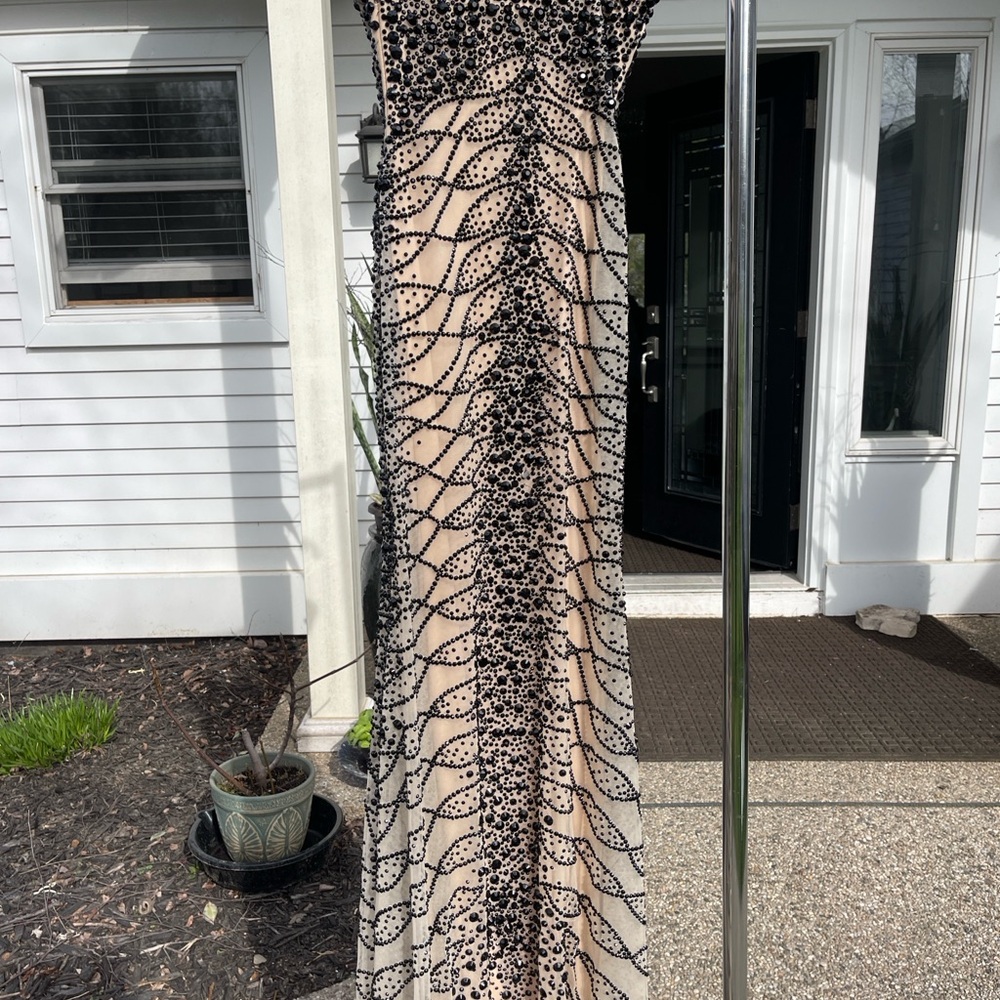 ππ»Vienna Pageant Dress π€π€ - Picture 3 of 14